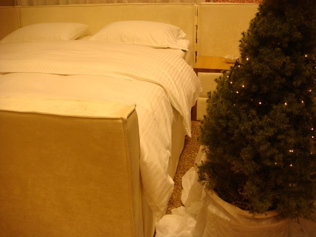 [DSC00171.JPG]