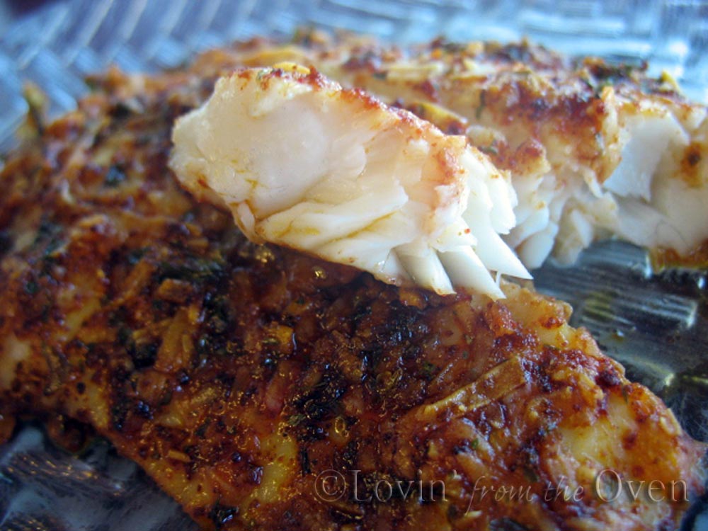 Frieda Loves Bread Parmesan Crusted Tilapia