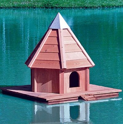 Plans to Build a Mallard Bird House: Ideas to Build a Platform Mallard
