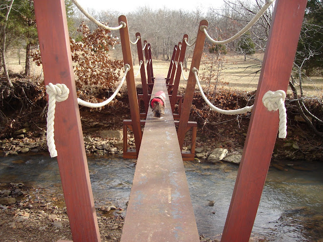 Foot Bridge