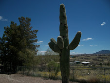 Perfect Arizona Day