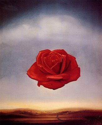 A rosa de Dalí