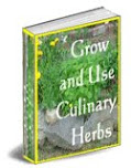 Grow & Use Culinary Herbs