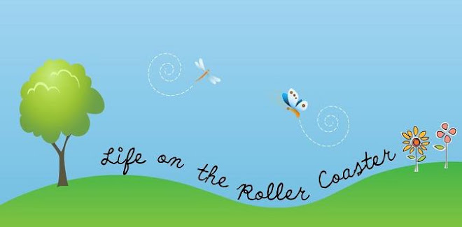 Life on the Roller Coaster