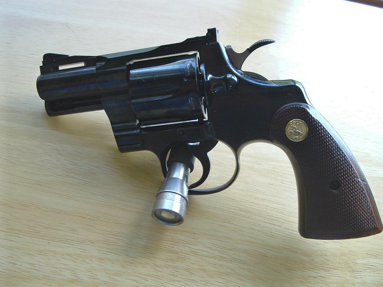 [coltpython092009a+009.JPG]