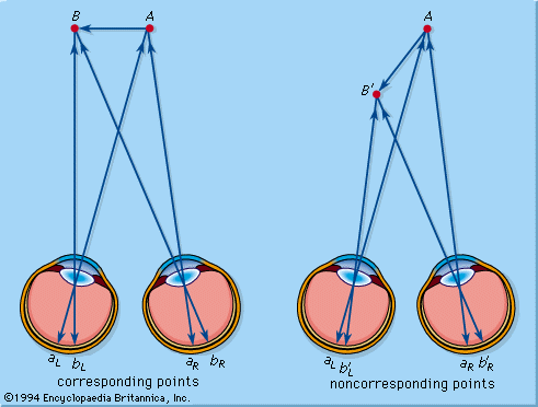 visual perception cues visual perception cues