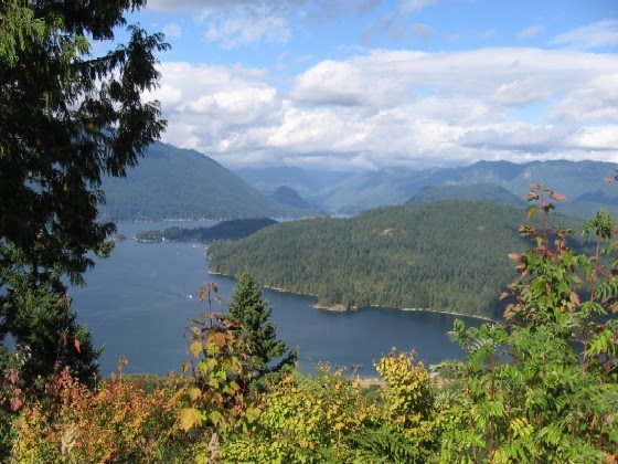 Taiga Cordillera Climate