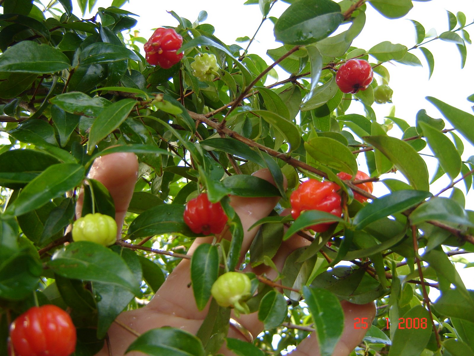 [DSC09996.JPG]