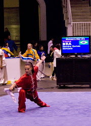 10th World Wushu Championship