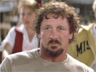 Terry-Funk.gif