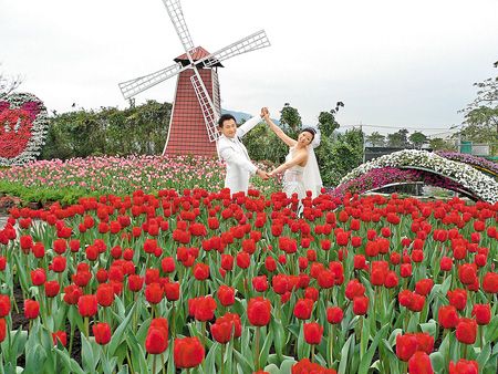 [中社鬱金香季+1.27..jpg]