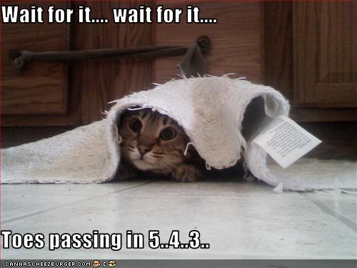 procrastination quotes funny