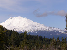 Mt. Adams