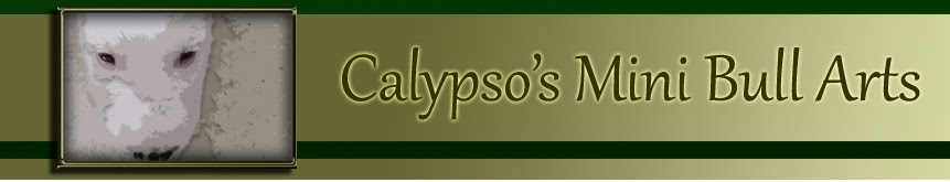Calypso's Mini Bull Arts