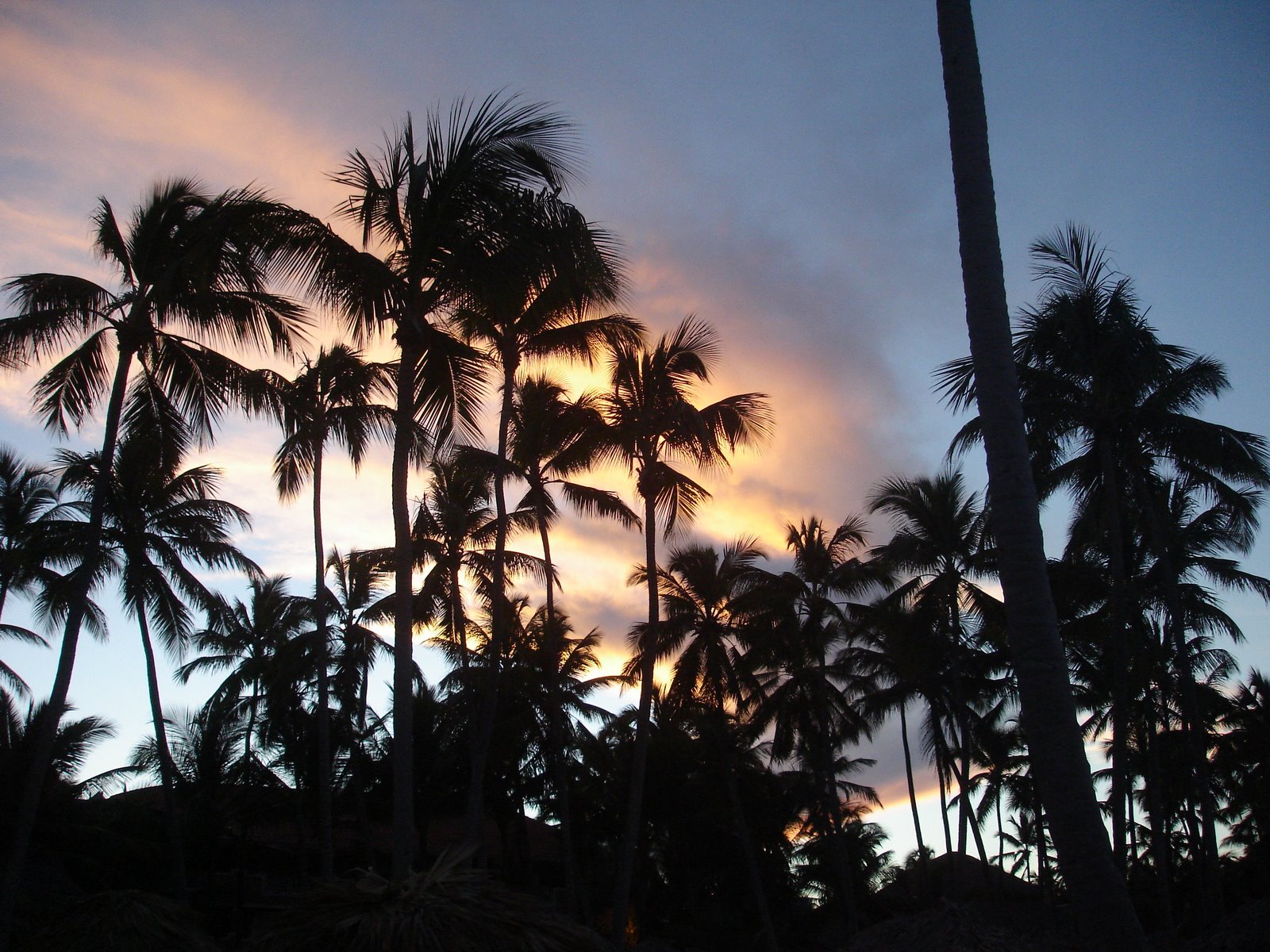 [novas+imagens+019.jpg]