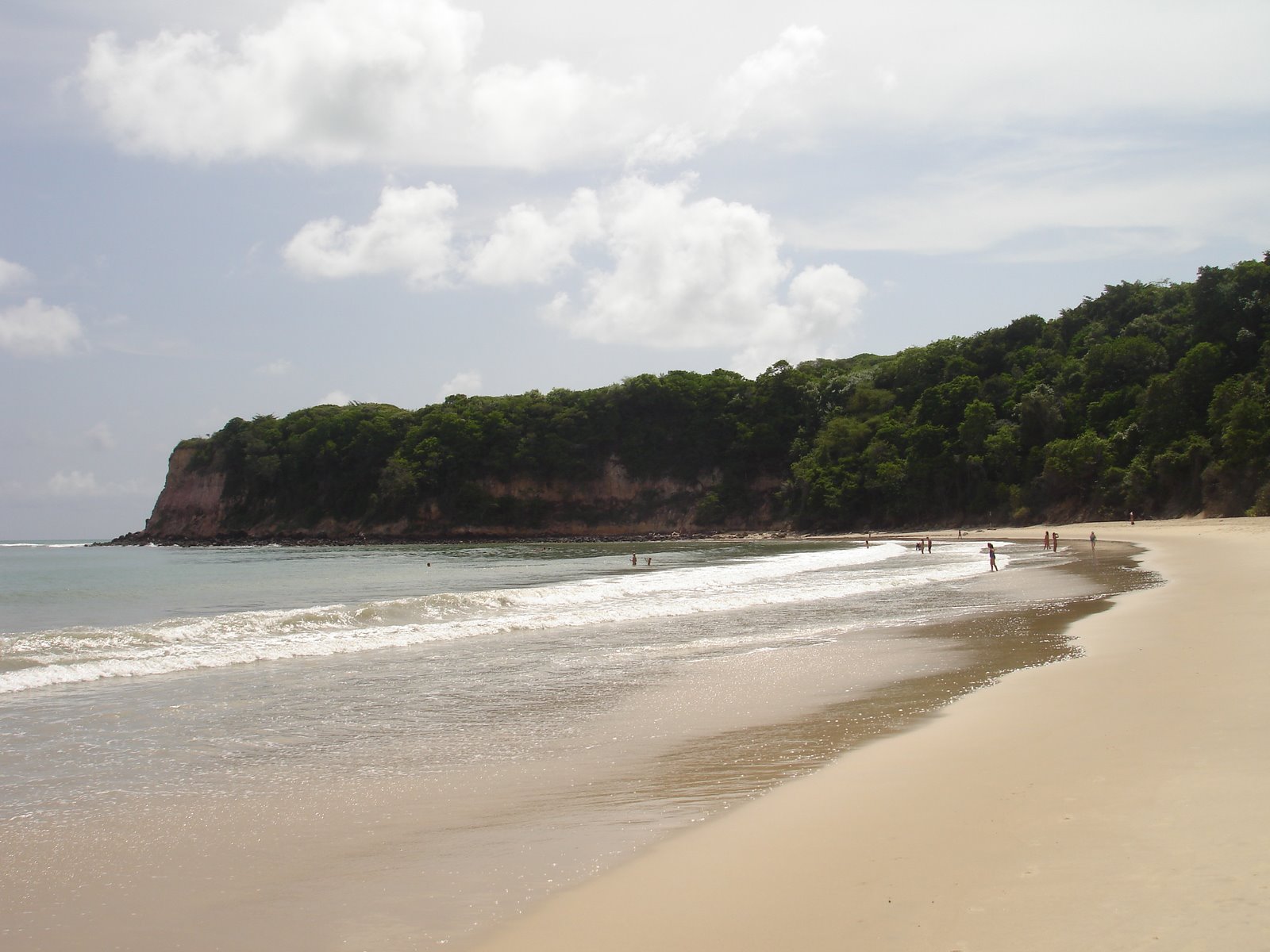 [DSC01621.JPG]