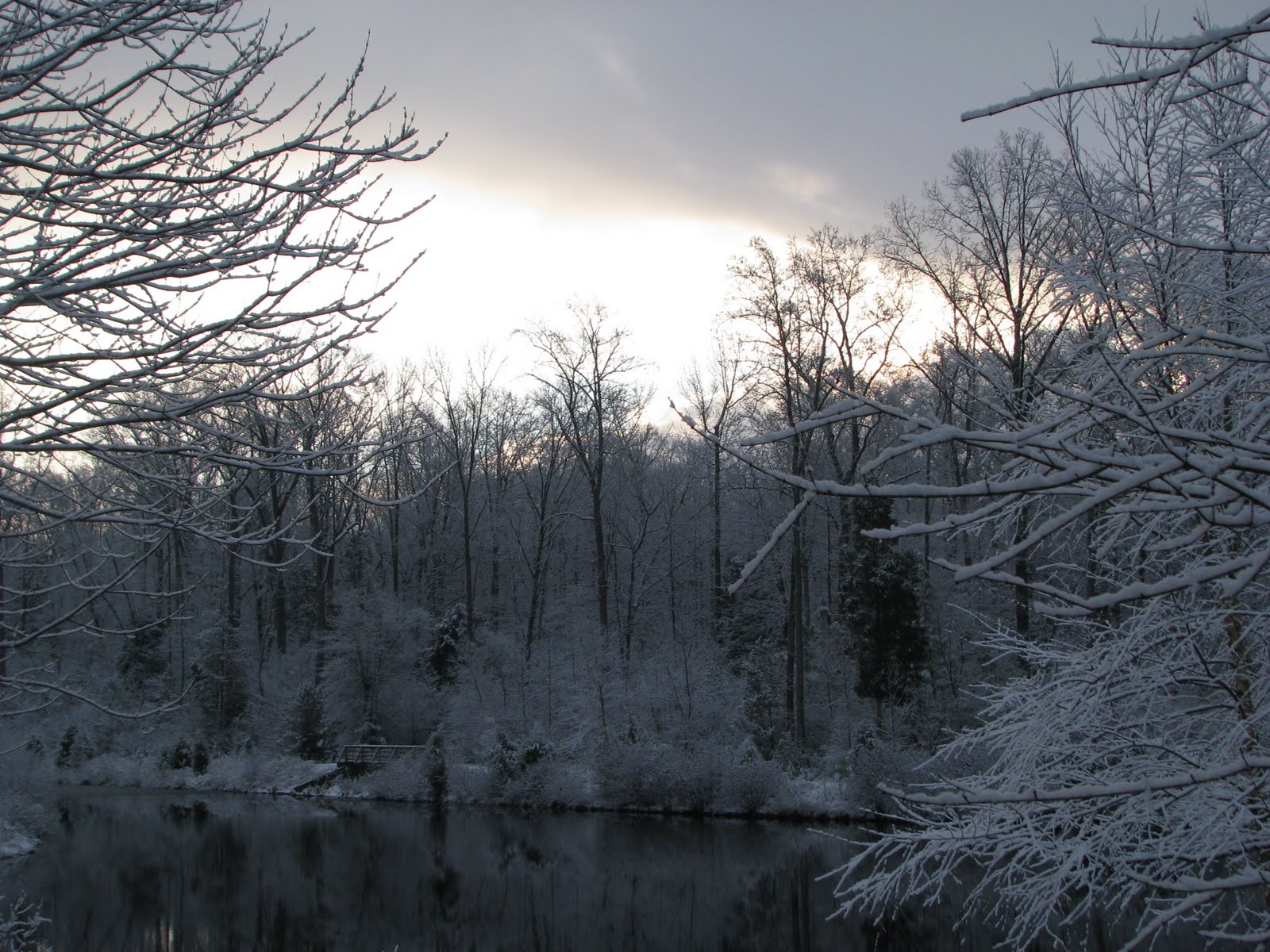 Five Dows Dust of Snow