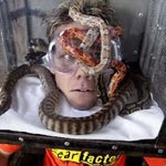 Fear Factor