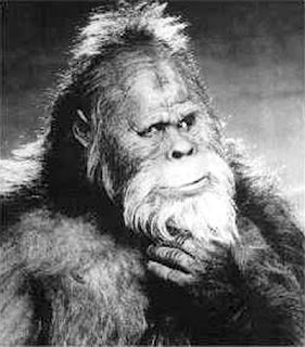 Great BigFoot Deception Great BigFoot Deception