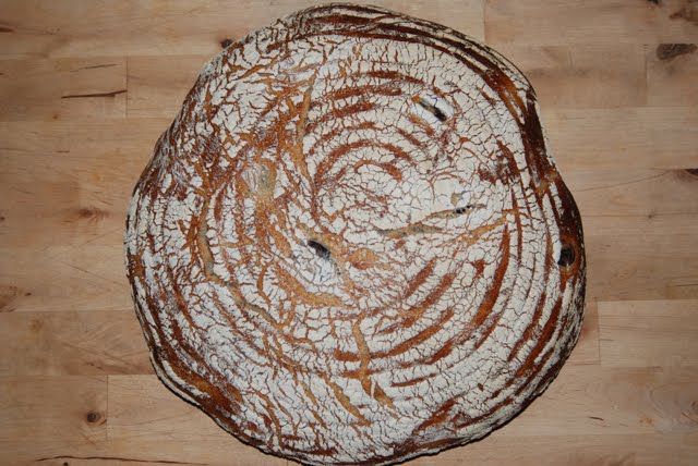 raymond calvel the taste of bread raymond calvel the taste of bread