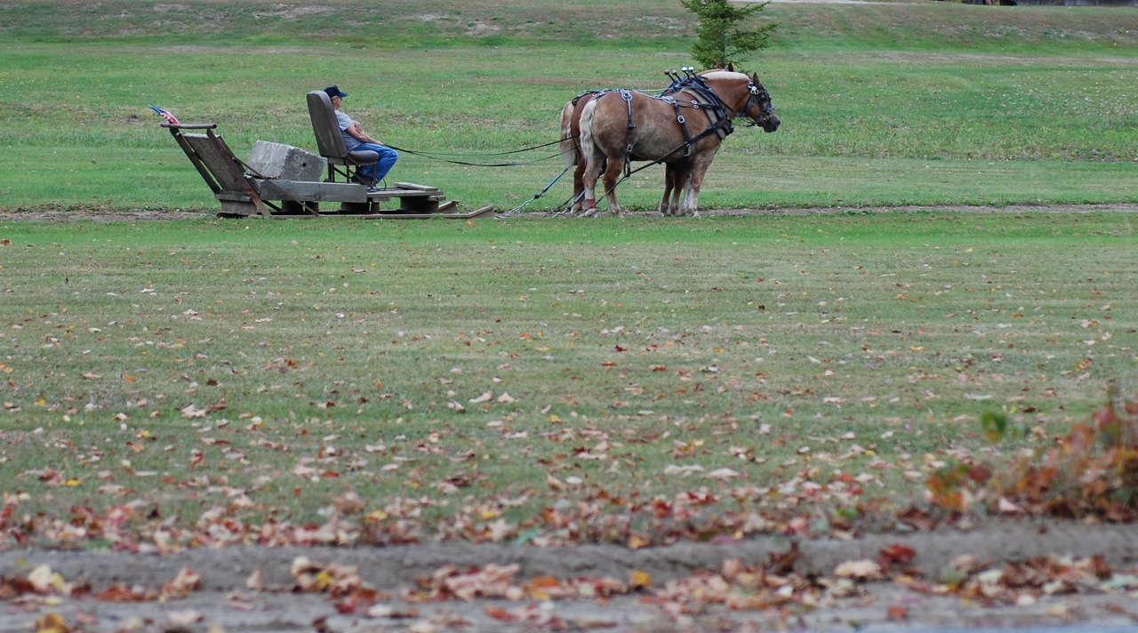 Know Whey The 2010 Vermont Life Wine and Harvest Festival