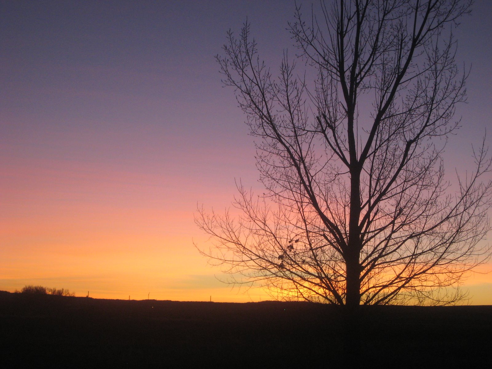 [December+2006+441.jpg]