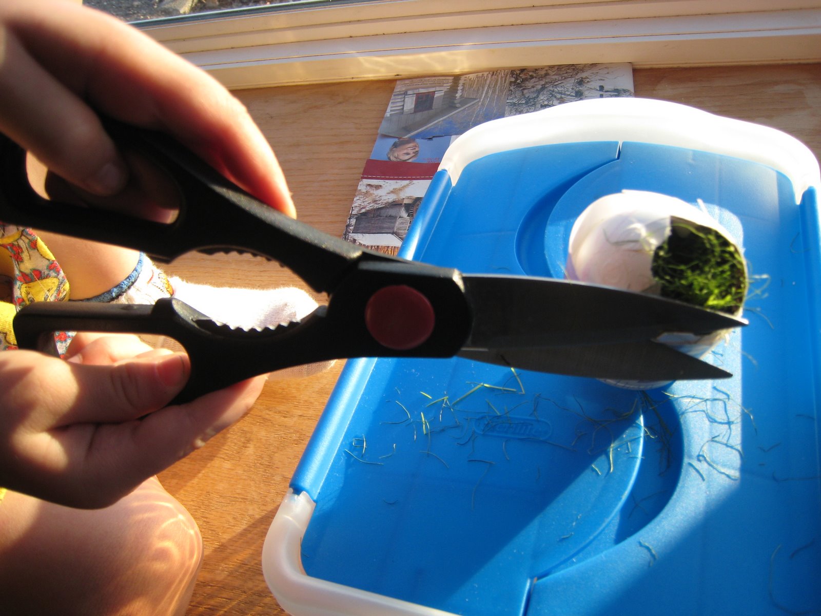 [January+2007+433.jpg]