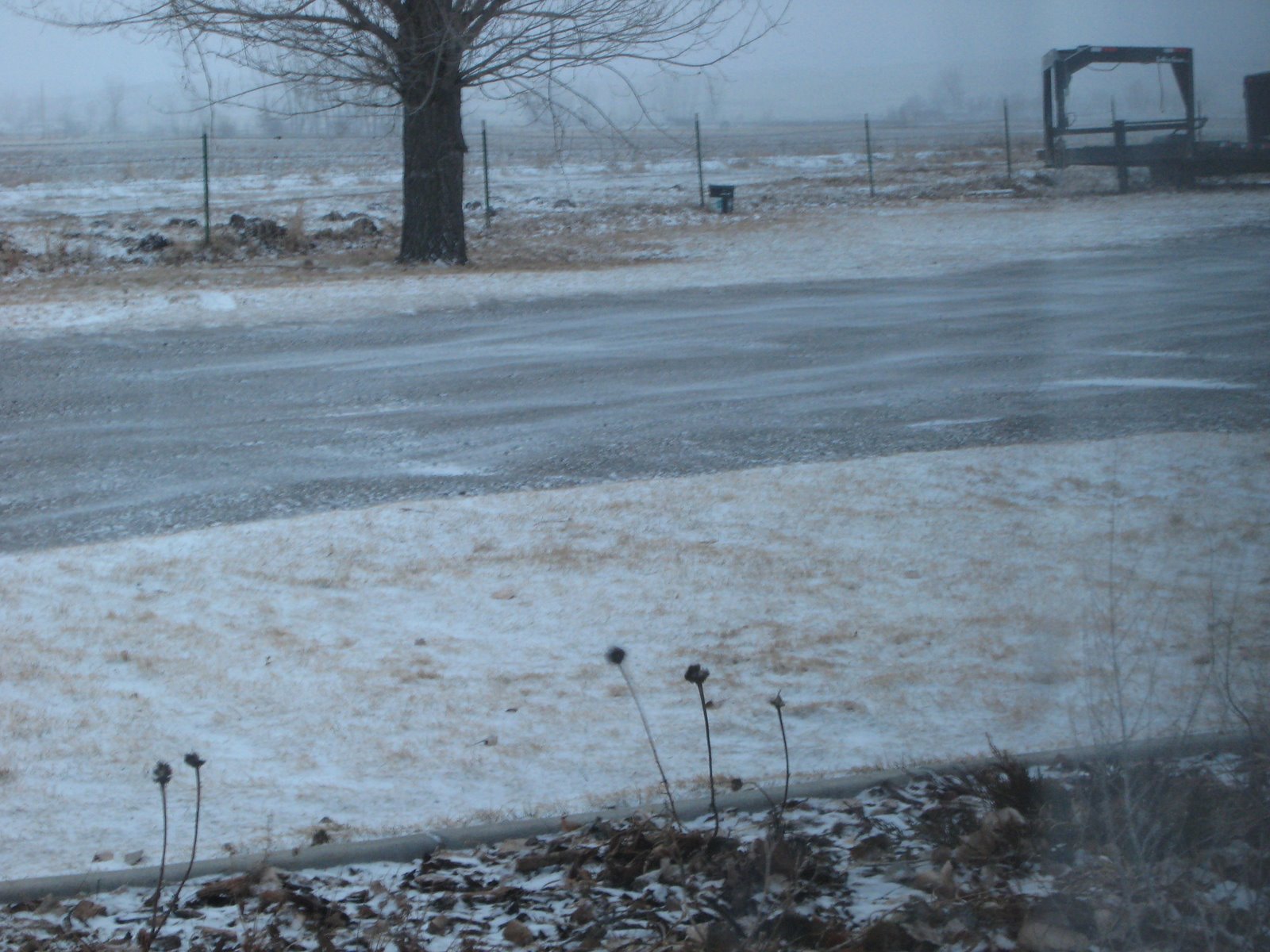 [January+2007+559.jpg]