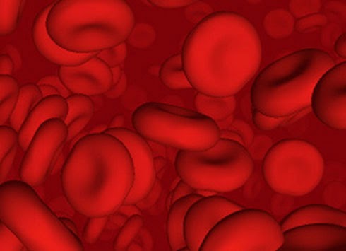 My beating heart: Red Blood Cells