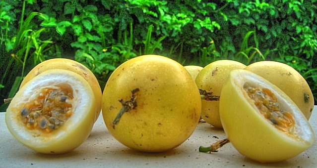 [passionfruit.jpg]