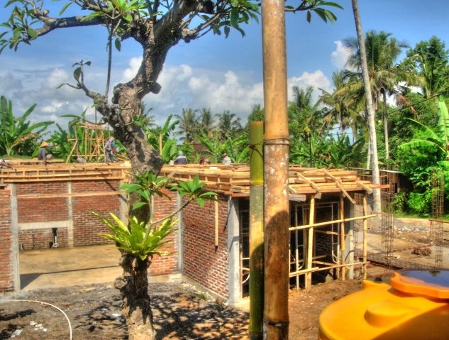 [buildingourhouse09052009a.jpg]