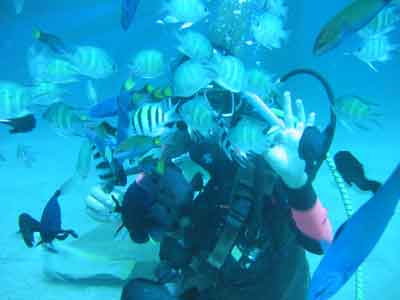 duka bay resort, medina, misamis oriental