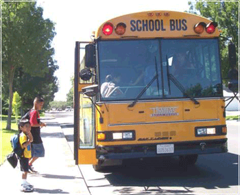 bus law essay bus law essay