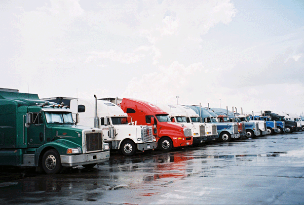 [trucks.gif]