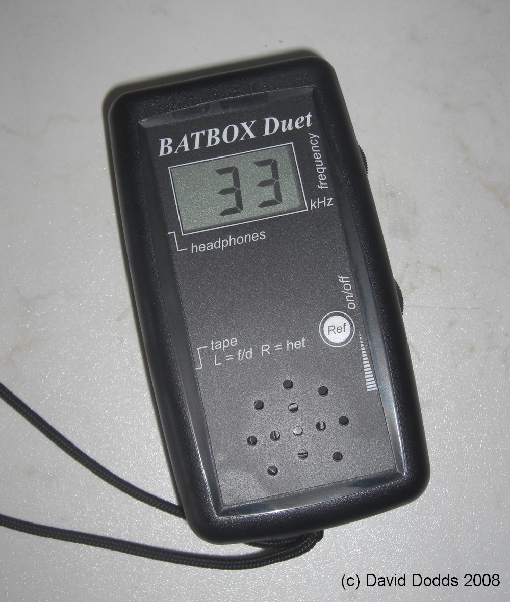 [Bat+detector+1.JPG]