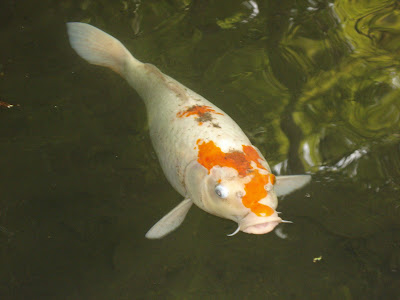 jtb 海外ツアー 割引