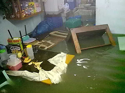 A Flooded House