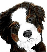 Bernie the Bernese Mountain Dog : Angel # 22236