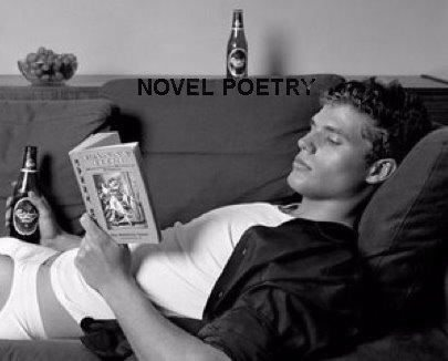 NOVEL POETRY