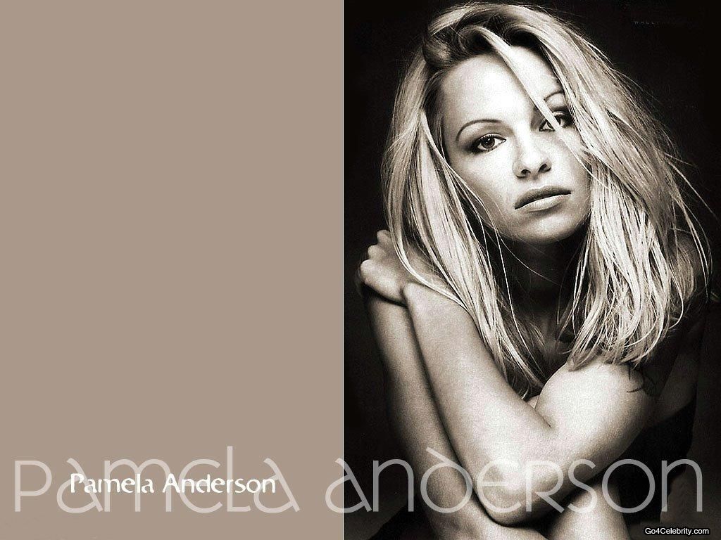 Pamela Anderson Wallpapers Pamela Anderson Wallpapers