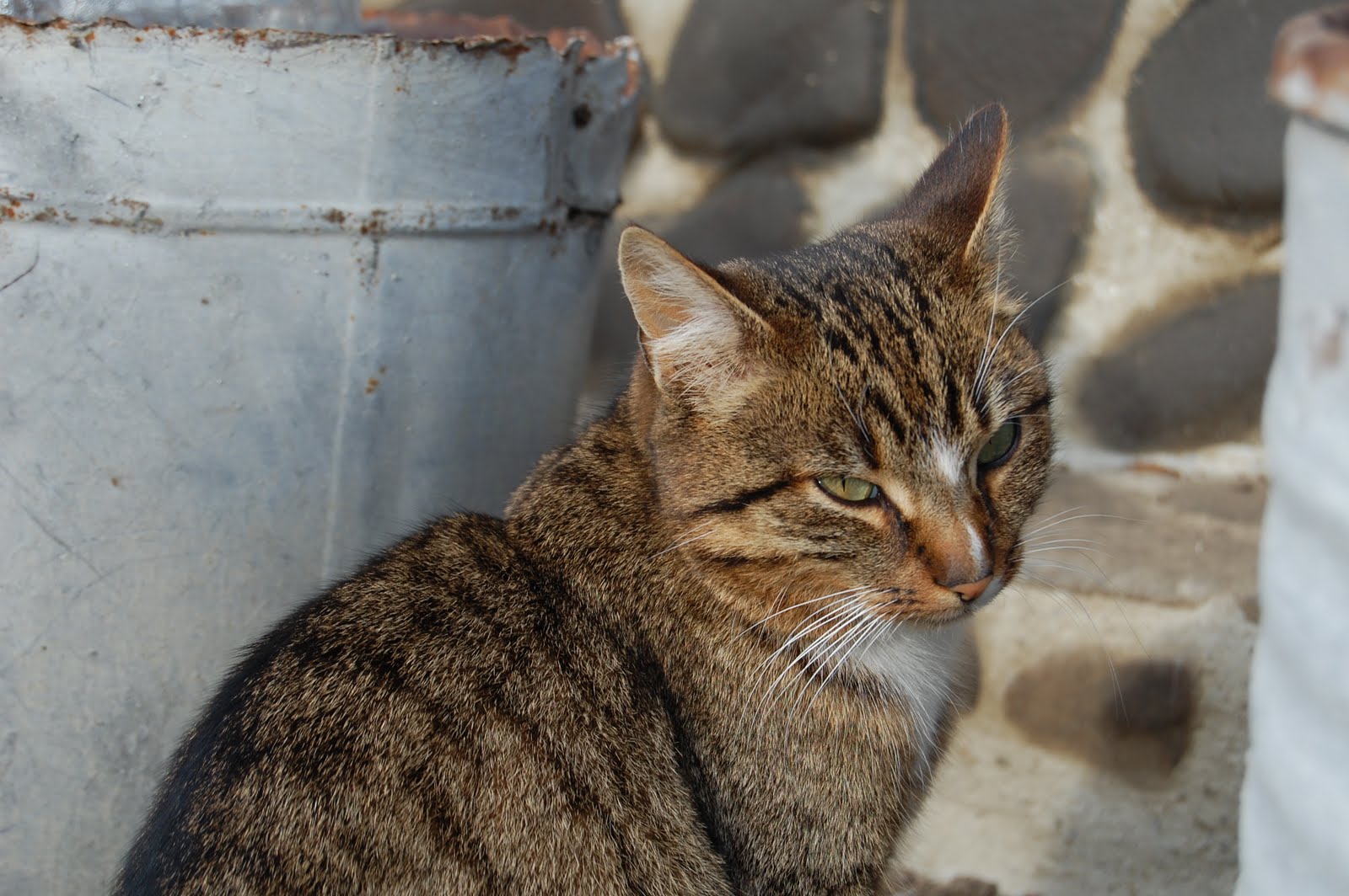 [DSC_0197.JPG]