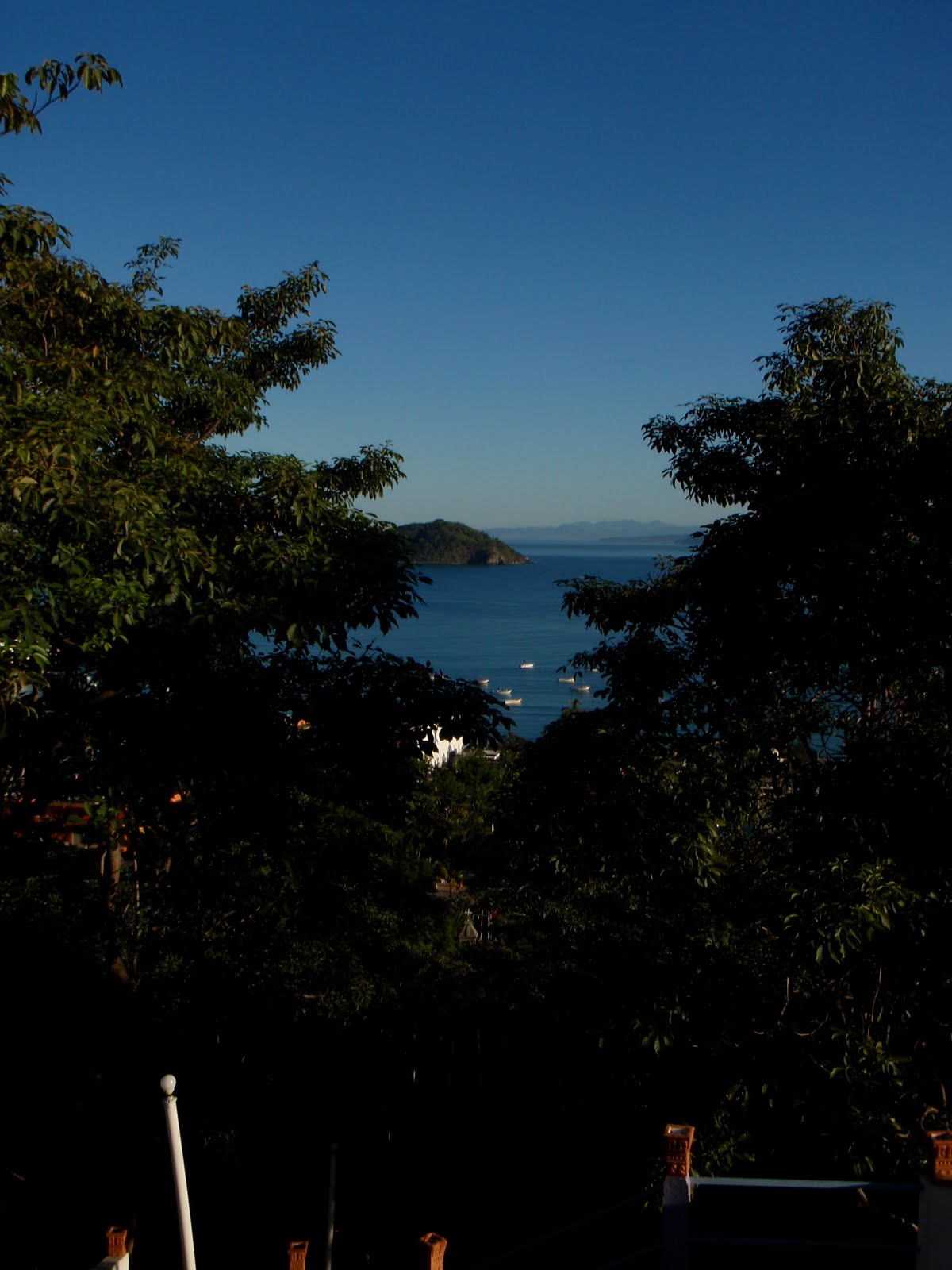 [P1183361.JPG]