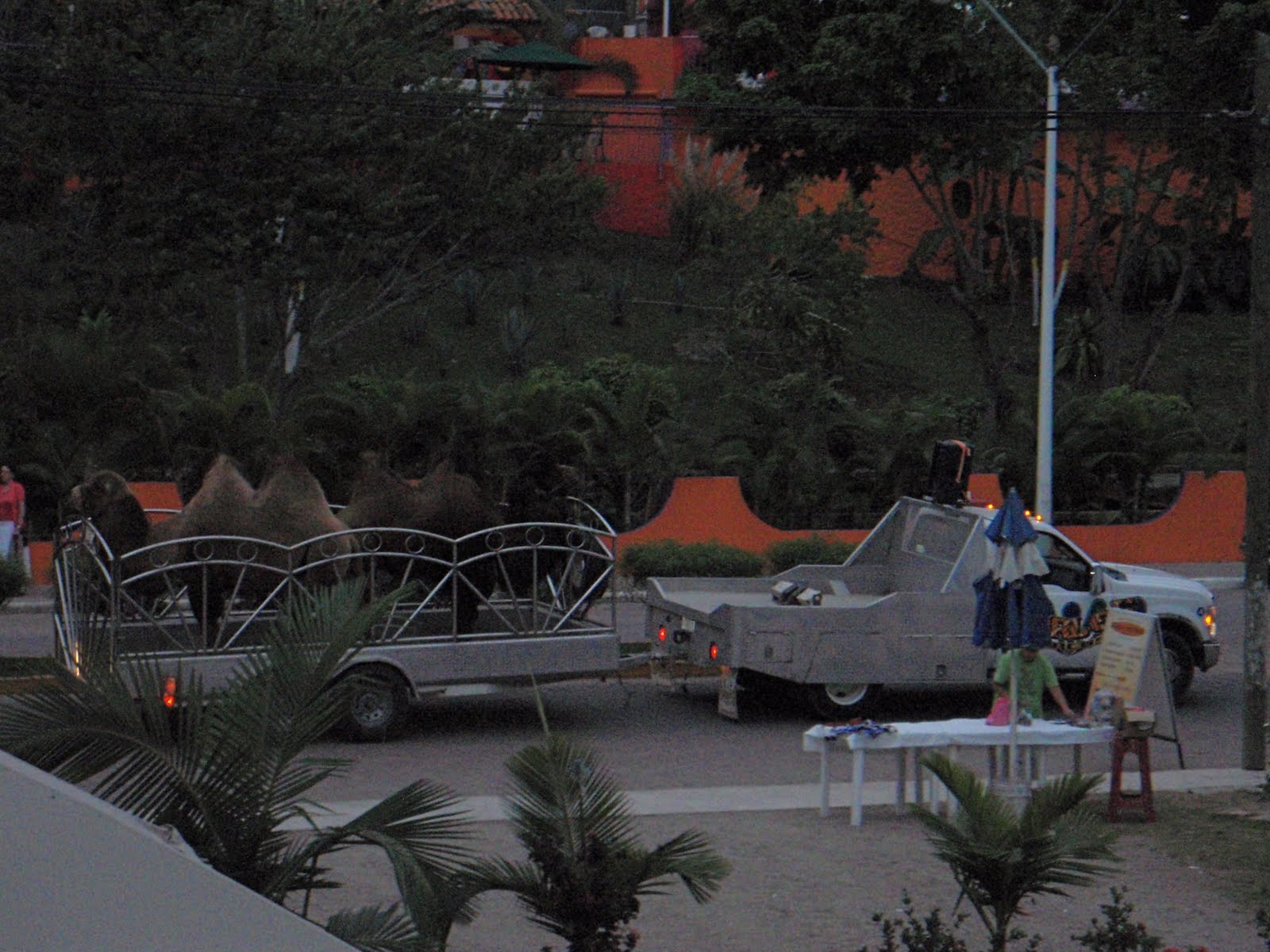 [P1263463.JPG]