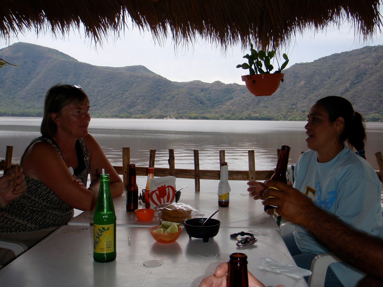 [P3093760.JPG]