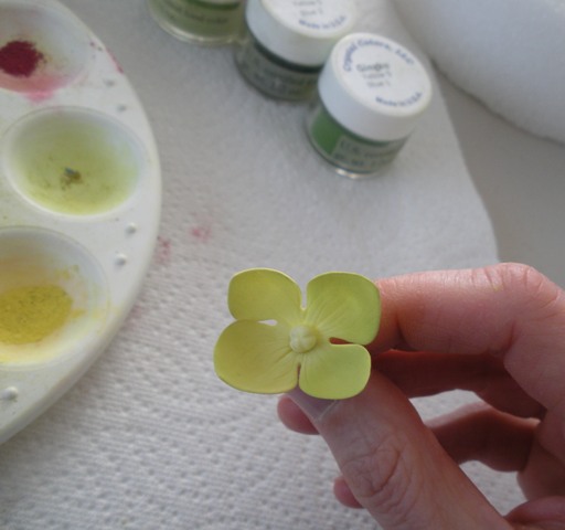 [Dusted+flower+close-up.JPG]