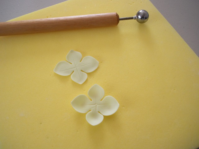 [Cupped+versus+not+flowers+on+pad.JPG]