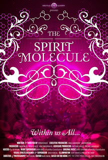 spiritmolecule.jpg