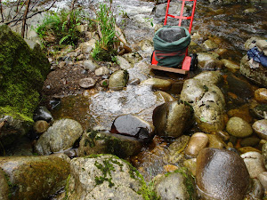 rivière de La Tarentaine