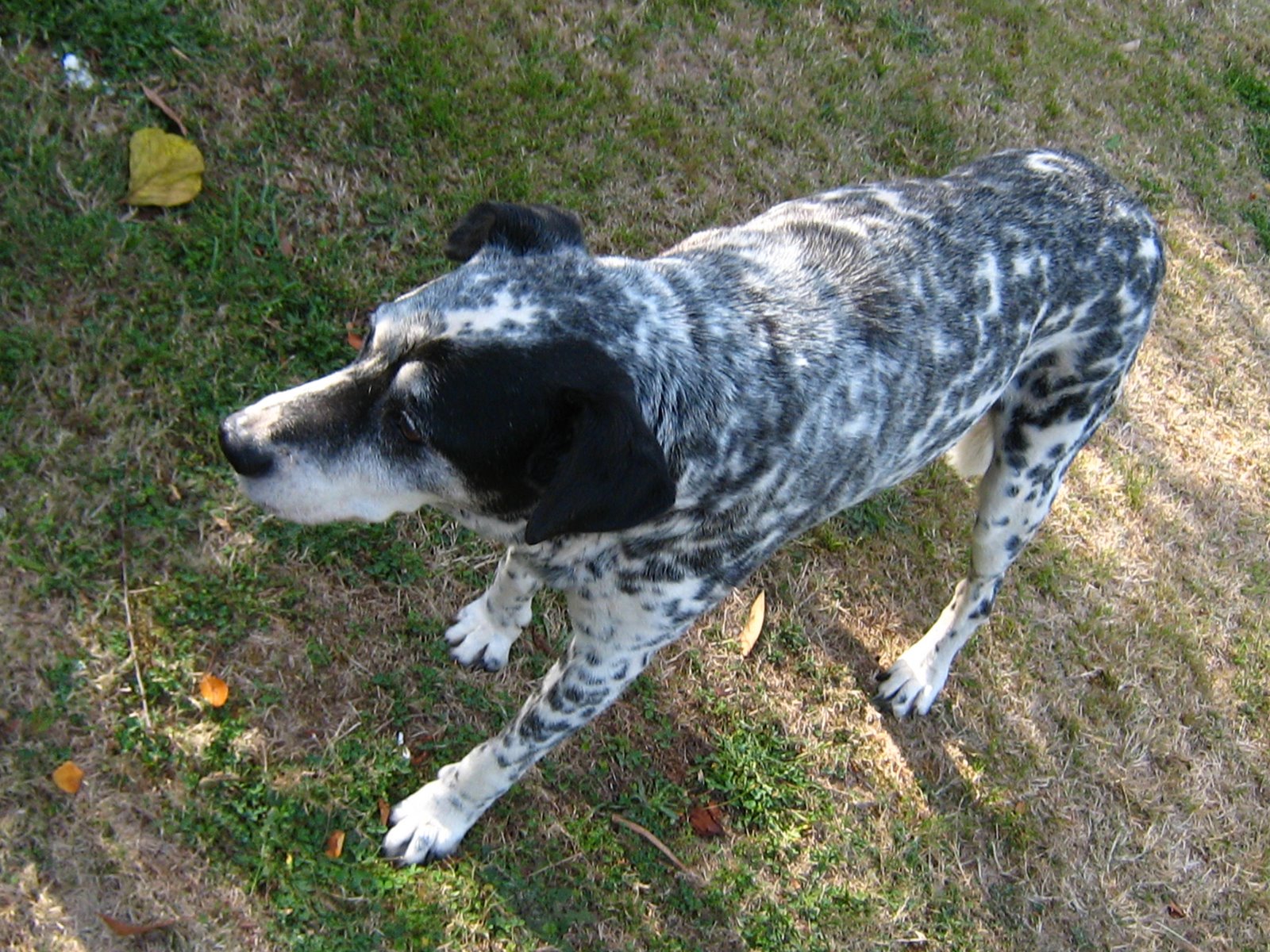 [IMG_4819.JPG]