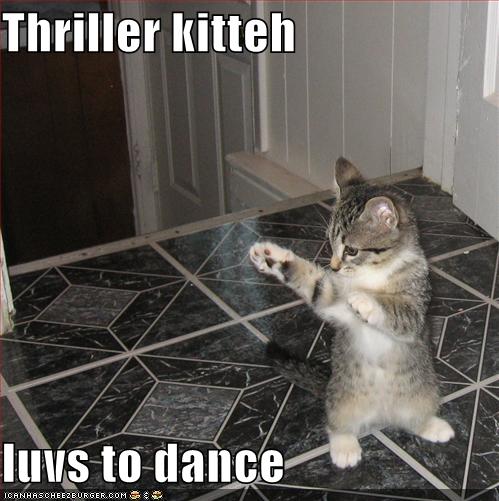 [funny-pictures-thriller-kitten.jpg]
